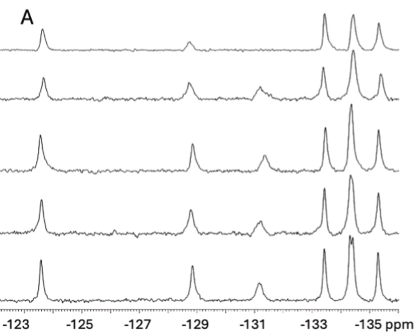 Professors Hawk, Leonard and BIC major publish in BBRC Spotlight